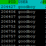 animalthecat serverumzug